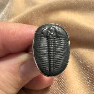 "Trilobite" Ring set in Sterling Silver Adjustable size